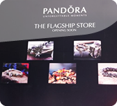 Images or animations do not load