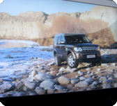 Images or animations do not load