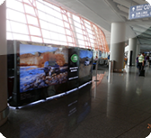 Images or animations do not load