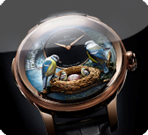 Images or animations do not load