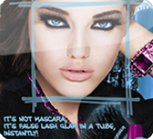 Images or animations do not load