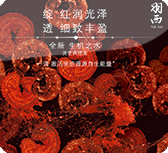 Images or animations do not load